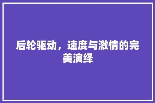 后轮驱动，速度与激情的完美演绎