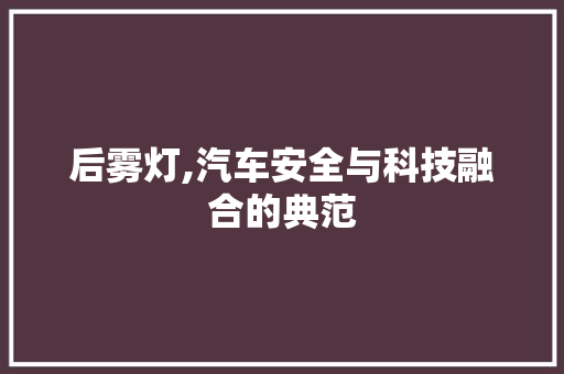 后雾灯,汽车安全与科技融合的典范