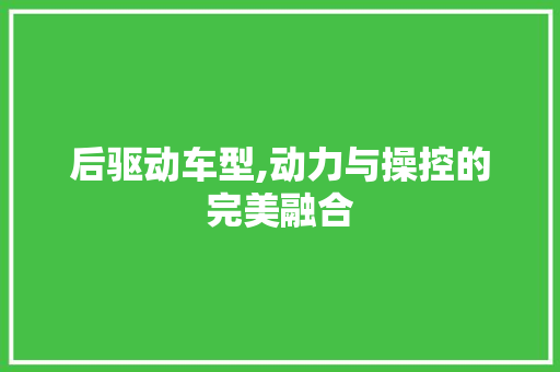 后驱动车型,动力与操控的完美融合