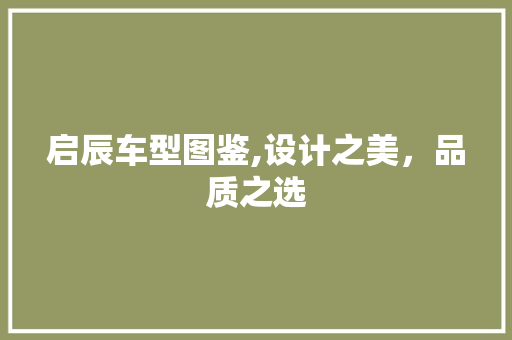 启辰车型图鉴,设计之美，品质之选