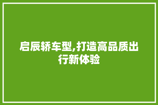 启辰轿车型,打造高品质出行新体验