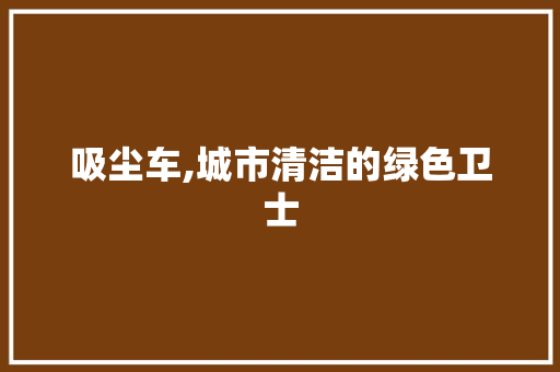 吸尘车,城市清洁的绿色卫士