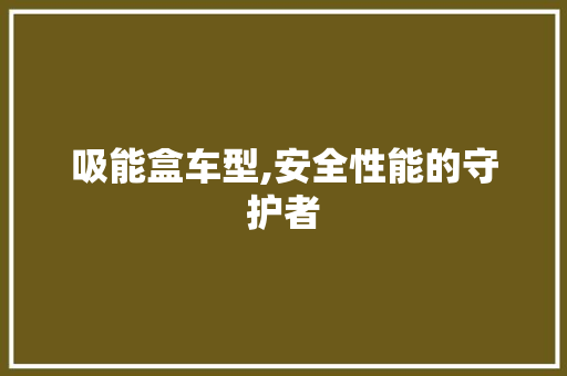 吸能盒车型,安全性能的守护者