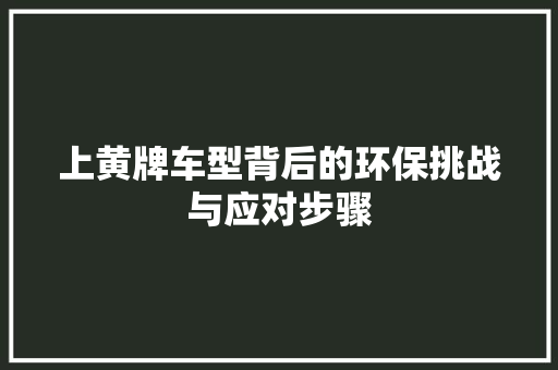 上黄牌车型背后的环保挑战与应对步骤