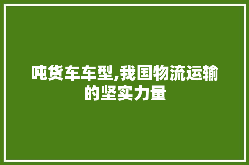 吨货车车型,我国物流运输的坚实力量