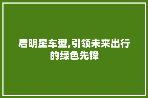 启明星车型,引领未来出行的绿色先锋