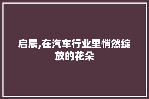 启辰,在汽车行业里悄然绽放的花朵