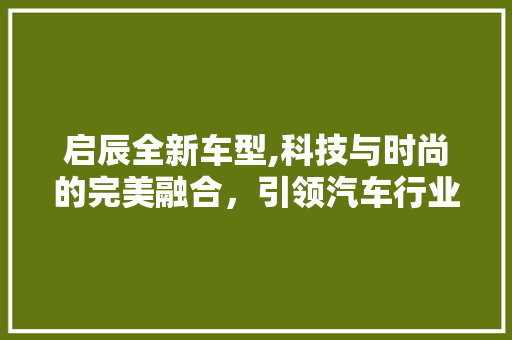 启辰全新车型,科技与时尚的完美融合，引领汽车行业新潮流