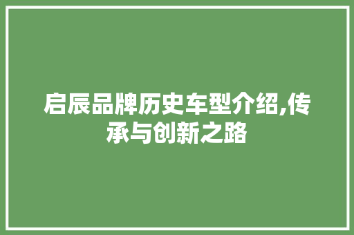 启辰品牌历史车型介绍,传承与创新之路