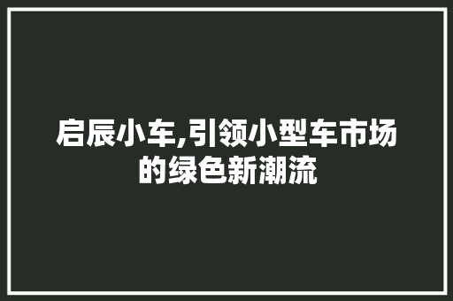 启辰小车,引领小型车市场的绿色新潮流