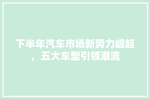 下半年汽车市场新势力崛起，五大车型引领潮流