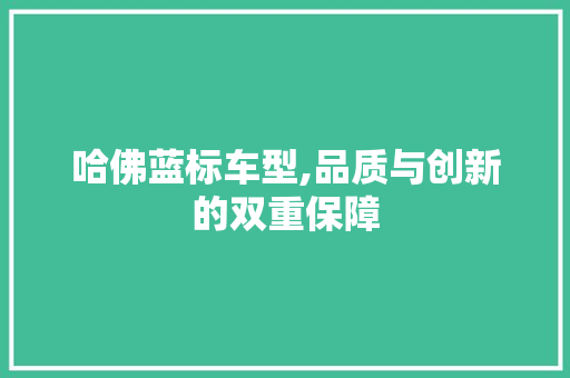 哈佛蓝标车型,品质与创新的双重保障