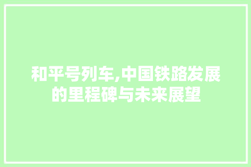和平号列车,中国铁路发展的里程碑与未来展望