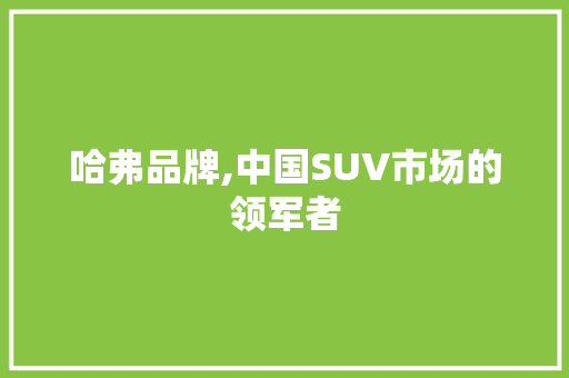 哈弗品牌,中国SUV市场的领军者