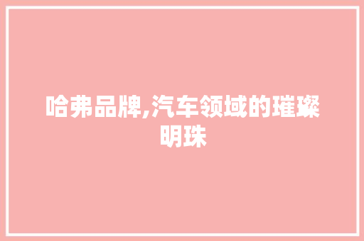 哈弗品牌,汽车领域的璀璨明珠