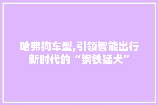 哈弗狗车型,引领智能出行新时代的“钢铁猛犬”