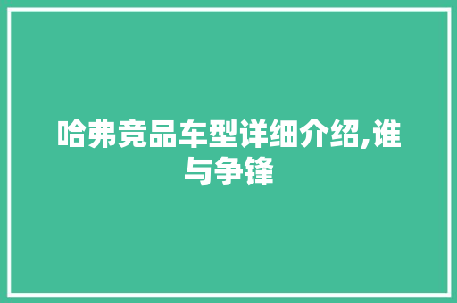 哈弗竞品车型详细介绍,谁与争锋