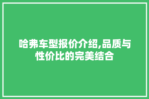 哈弗车型报价介绍,品质与性价比的完美结合