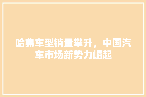 哈弗车型销量攀升，中国汽车市场新势力崛起