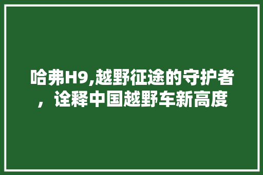 哈弗H9,越野征途的守护者，诠释中国越野车新高度