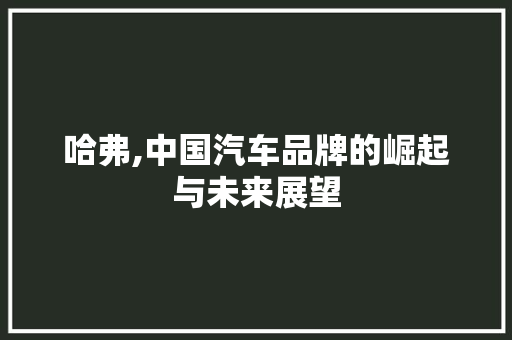 哈弗,中国汽车品牌的崛起与未来展望
