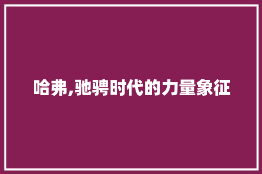 哈弗,驰骋时代的力量象征