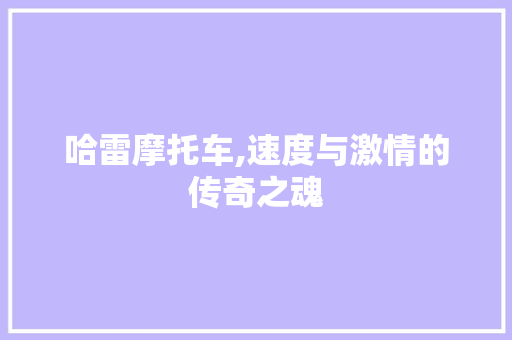 哈雷摩托车,速度与激情的传奇之魂