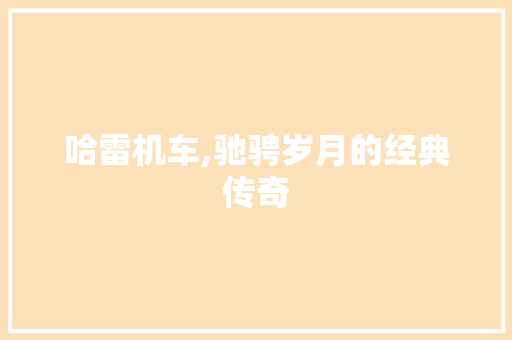 哈雷机车,驰骋岁月的经典传奇 变速箱配件