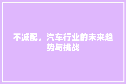 不减配，汽车行业的未来趋势与挑战