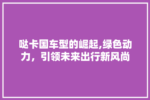 哒卡国车型的崛起,绿色动力，引领未来出行新风尚