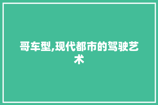 哥车型,现代都市的驾驶艺术