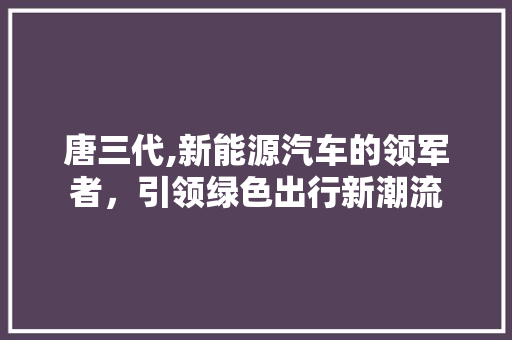 唐三代,新能源汽车的领军者，引领绿色出行新潮流