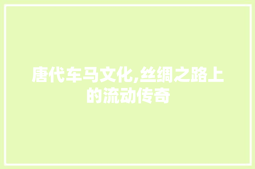 唐代车马文化,丝绸之路上的流动传奇