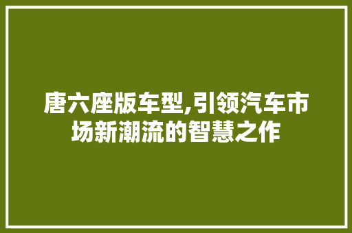 唐六座版车型,引领汽车市场新潮流的智慧之作
