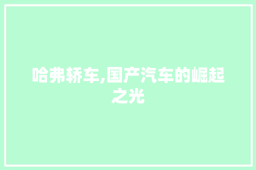哈弗轿车,国产汽车的崛起之光