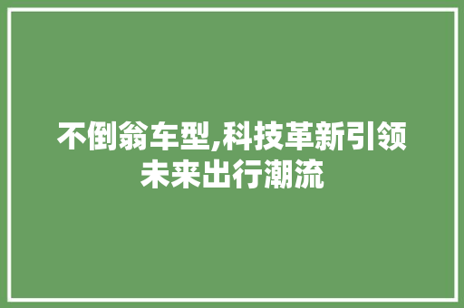 不倒翁车型,科技革新引领未来出行潮流