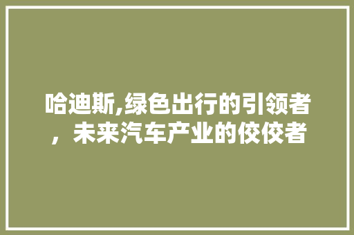 哈迪斯,绿色出行的引领者，未来汽车产业的佼佼者