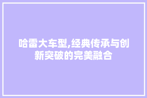 哈雷大车型,经典传承与创新突破的完美融合