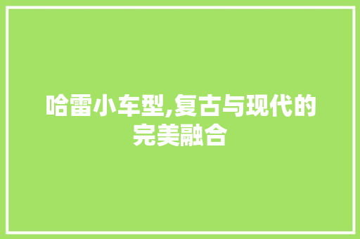 哈雷小车型,复古与现代的完美融合