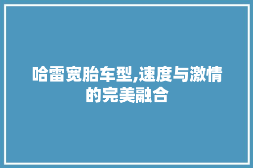 哈雷宽胎车型,速度与激情的完美融合