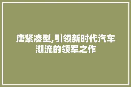 唐紧凑型,引领新时代汽车潮流的领军之作 变速箱配件