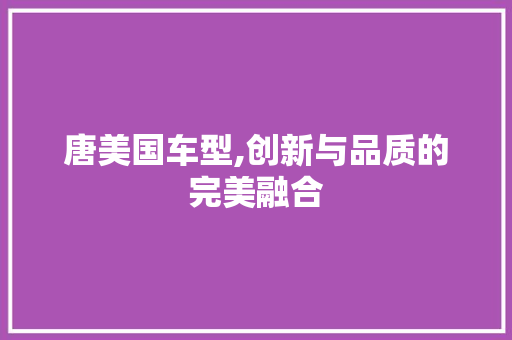 唐美国车型,创新与品质的完美融合