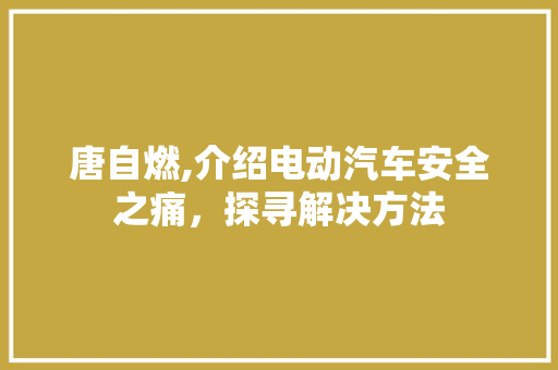唐自燃,介绍电动汽车安全之痛，探寻解决方法 发动机配件