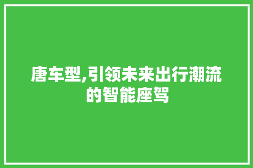 唐车型,引领未来出行潮流的智能座驾