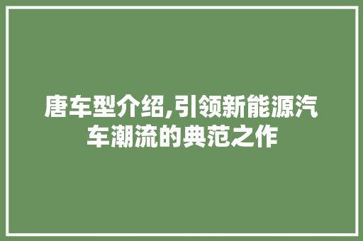 唐车型介绍,引领新能源汽车潮流的典范之作