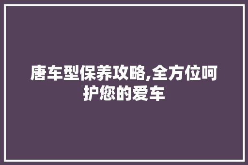 唐车型保养攻略,全方位呵护您的爱车