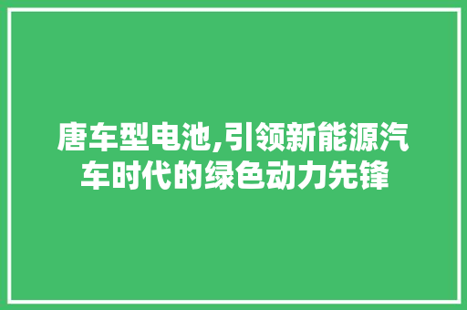 唐车型电池,引领新能源汽车时代的绿色动力先锋