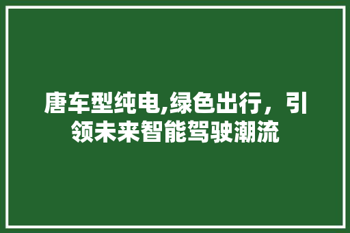 唐车型纯电,绿色出行，引领未来智能驾驶潮流