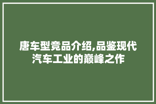 唐车型竞品介绍,品鉴现代汽车工业的巅峰之作