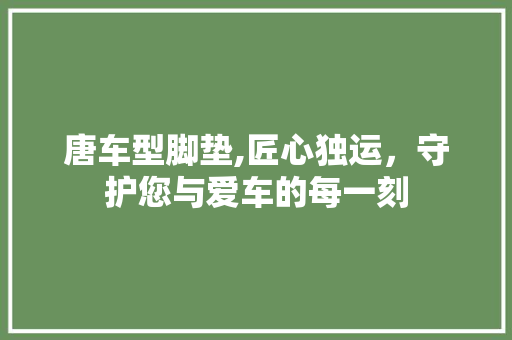 唐车型脚垫,匠心独运，守护您与爱车的每一刻